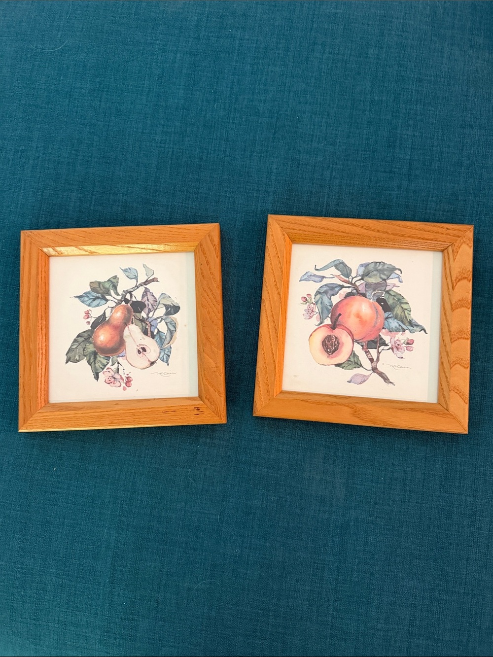 Wood Frame Botanical Fruit Wall Art  Teal, Orange, Cream Colors ( 7 1/2 x 7 1/2